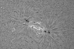 Sonne 2017